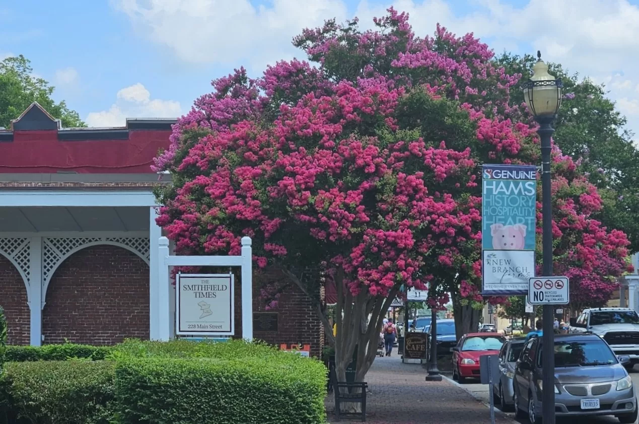 Our Charming Small Town is waiting to Host You